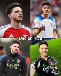 为什么越输越想翻（为何越输越想翻盘？）