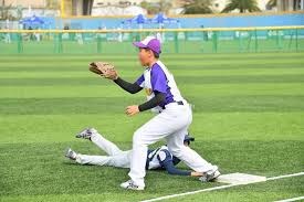 [中超]米内罗两传一射 上海申花力克河南俱乐部