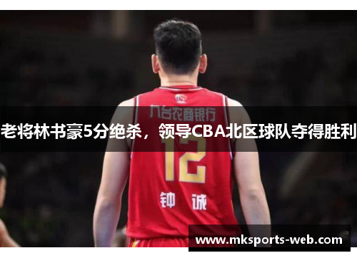 老将林书豪5分绝杀，领导CBA北区球队夺得胜利
